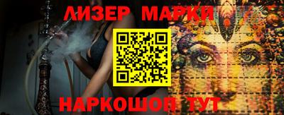 индика Кингисепп
