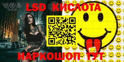 индика Кингисепп