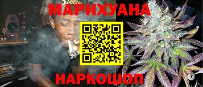 индика Кингисепп