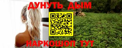 индика Кингисепп
