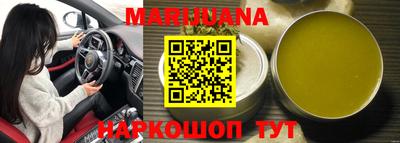 индика Кингисепп