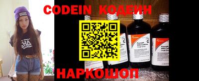 индика Кингисепп