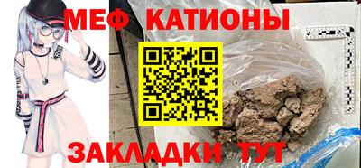 индика Кингисепп