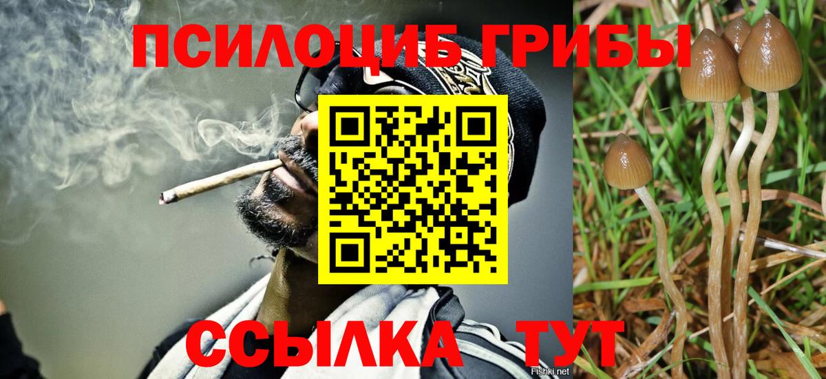 Галлюциногенные грибы GOLDEN TEACHER Ярцево